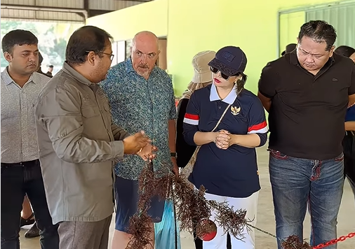 Wamen Diktisaintek Apresiasi Riset Unram di Sektor Kelautan